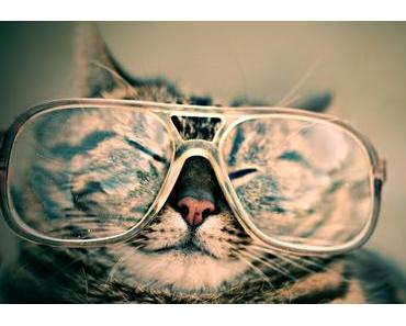 Neo Magazin Royale vom 11. Mai 2017 - Folge 80: Missverständnisse Mannheims