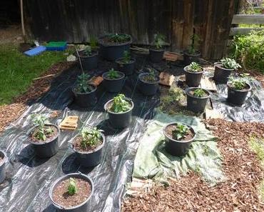 Ab in die Endtöpfe - Outdoor 2017 gestartet!