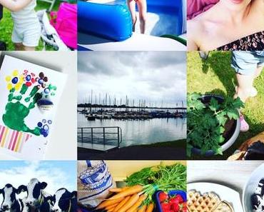 Gelesen, gesehen, gemacht im Mai