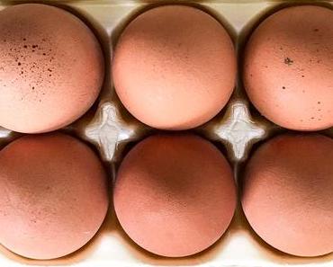 Tag der Eier in den USA – der amerikanische National Egg Day