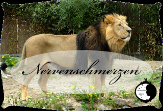 Nervenschmerzen - Was ist das?