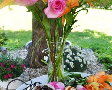 Himmlischer Sommergenuss! Schoko-Kirsch-Cups mit Vanillecreme