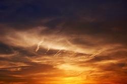 wallpaper-1689754
