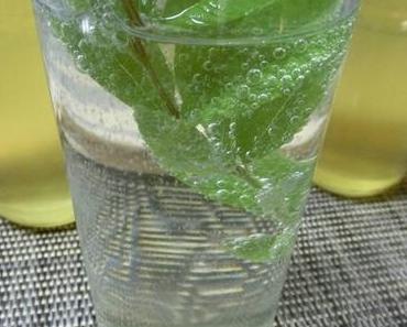 Holunderblütensirup II
