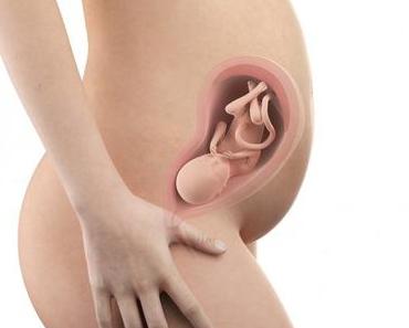 28. SSW (Schwangerschaftswoche): Dein Baby, dein Körper, Beschwerden und mehr