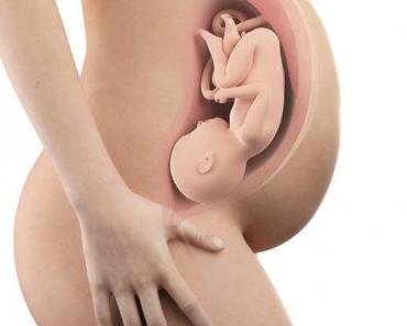39. SSW (Schwangerschaftswoche): Dein Baby, dein Körper, Beschwerden und mehr