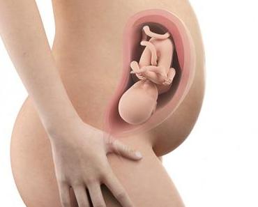32. SSW (Schwangerschaftswoche): Dein Baby, dein Körper, Beschwerden und mehr