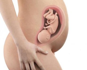 31. SSW (Schwangerschaftswoche): Dein Baby, dein Körper, Beschwerden und mehr