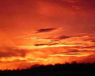 Baking Science Traveller {New Blog!}