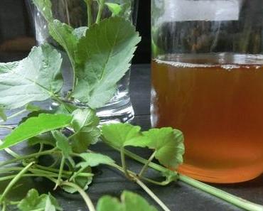 Gundermann-Giersch-Limonade