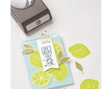 Sommerparty mit Lemon Zest