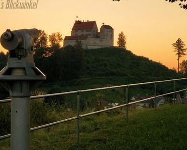 Richie´s Blick auf die Welt #Fotografie #Kühe #Waldburg