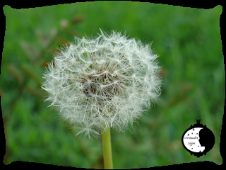 Was ist Migräne - Vorurteile