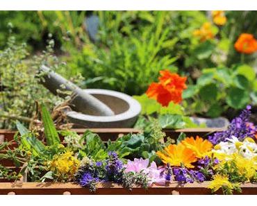 Gartenarbeiten im Juli