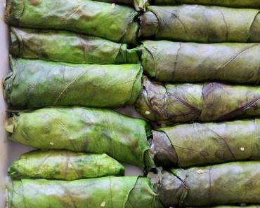 Lorlu Pazı Sarması / Mangoldroulade mit vegetarische Füllung