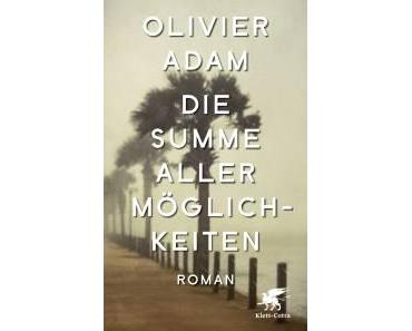Adam, Olivier: Die Summe aller Möglichkeiten