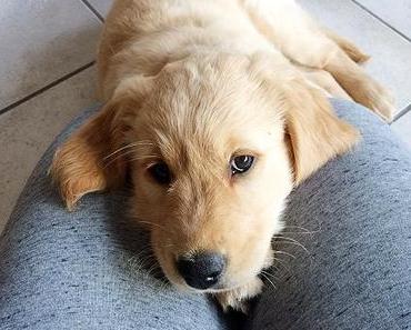 Unser Wochenende in Bildern – 29./30. Juli