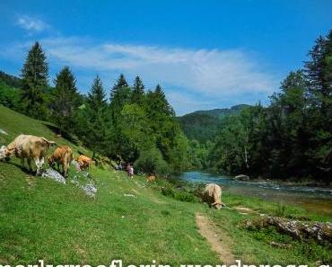 Heimatkunde: Eine Wanderung am Doubs entlang nach St. Ursanne mit AVANTI