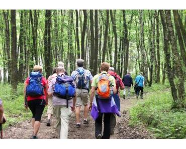 Vorschau: Interessanter Wandertag auf dem Höhenweg um Netphen mit Manuel Andrack