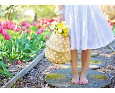 Gartenarbeiten im August