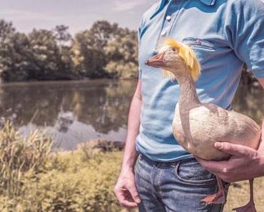 Tierversuche, vegan leben und Scheinheiligkeit