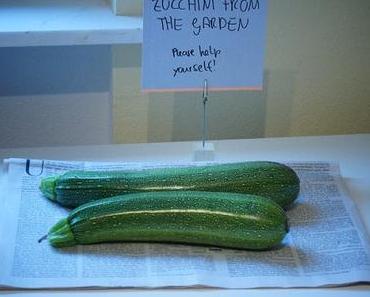 Eine Antwort auf die Zucchinischwemme: eingelete Zucchini