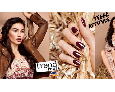 [Preview] trend IT UP Terra Attitude Limited Edition