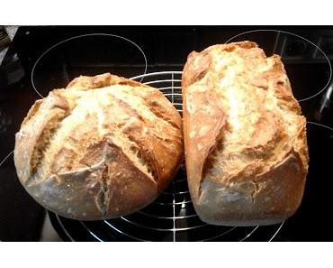 Landbrot mit Dinkel und Weizen