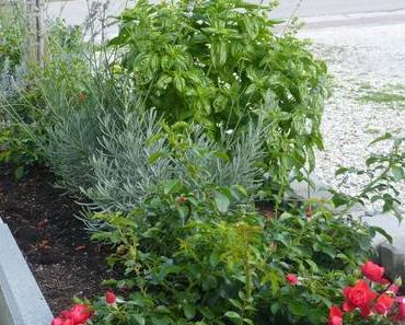 Glückspilz-Momente (10): Italienisches Aroma