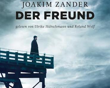 Joakim Zander: Der Freund