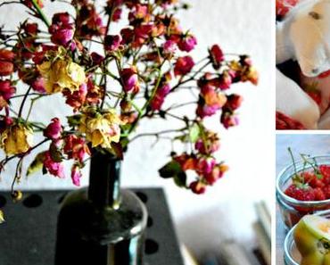 Vorwochenende {herbstlich leben}