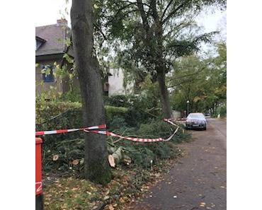 Natur mit Demut begegnen