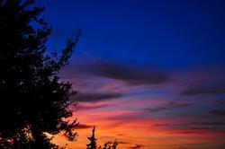 wallpaper-1689754