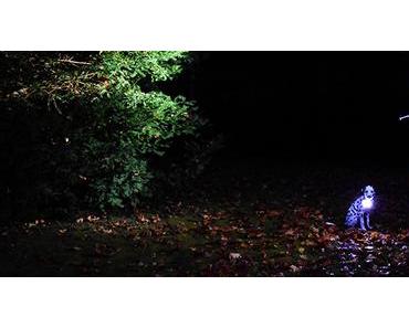 Energizer: Ein Licht geht an beim Hundespaziergang