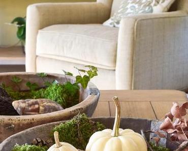 Wie ihr eine Schale kreativ mit Naturmaterialien dekoriert - passend für Herbst und Winter