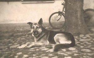 Unnützes Wissen, 15. Edition