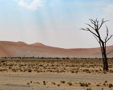 Sossusvlei – Zwei perfekte Tage in den Dünen Namibias