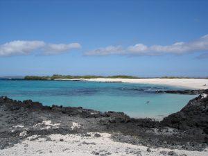 Tierparadies Galapagosinseln