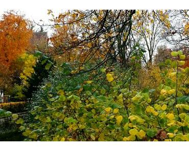 Foto: Die Farben des Herbstes