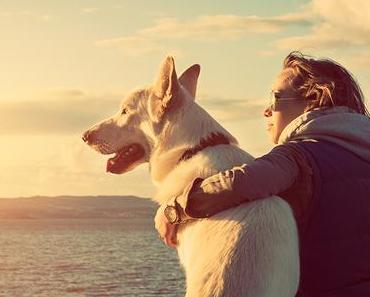 Tipps für den Urlaub mit Hund am Meer