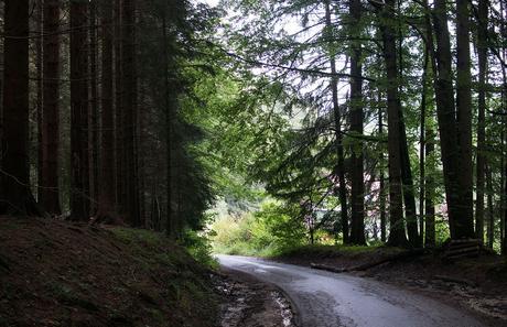 Ein Wochenende in Gmunden – Wandern am Grünberg