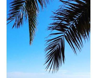 Mein Rückblick auf das Jahr 2017