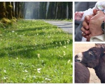 Sonntagsfreude: 2017 in Bildern