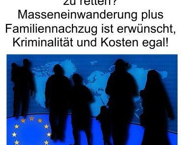 Politik und Medien erfreuen sich an der Finanzierung der Masseneinwanderung, inkl. Familiennachzug, durch den Steuerzahler