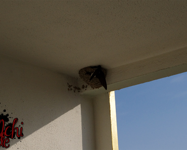 #0751 [On Tour] Türkei Mai 2016 ~ Part 4