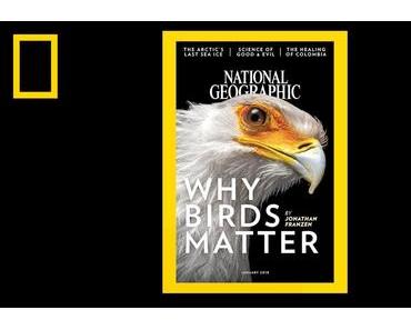 National Geographic Cover der letzten 130 Jahre