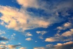 wallpaper-1689754