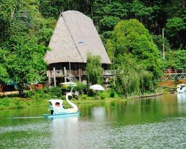 Welche Dinge machen die Ecolodges in Mang Den besonders?