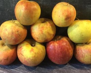 #Sonntagsglück – oder – Apfel, Mandel, Kokos= Ein Apfelkuchen, der glücklich macht