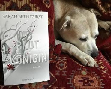 Sarah Beth Durst - Die Blutkönigin